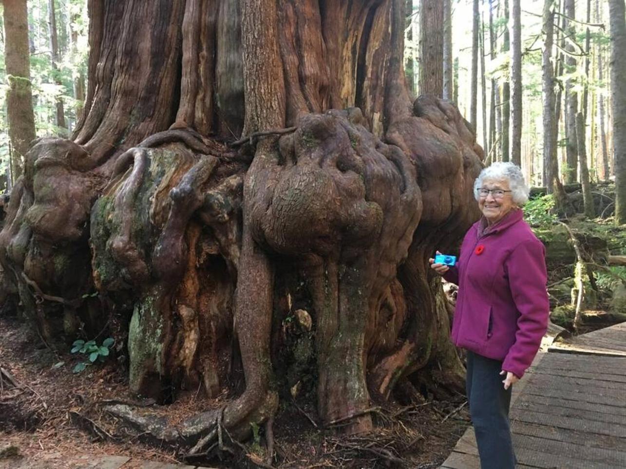 Willa The Great Escape - Port Renfrew Zewnętrze zdjęcie