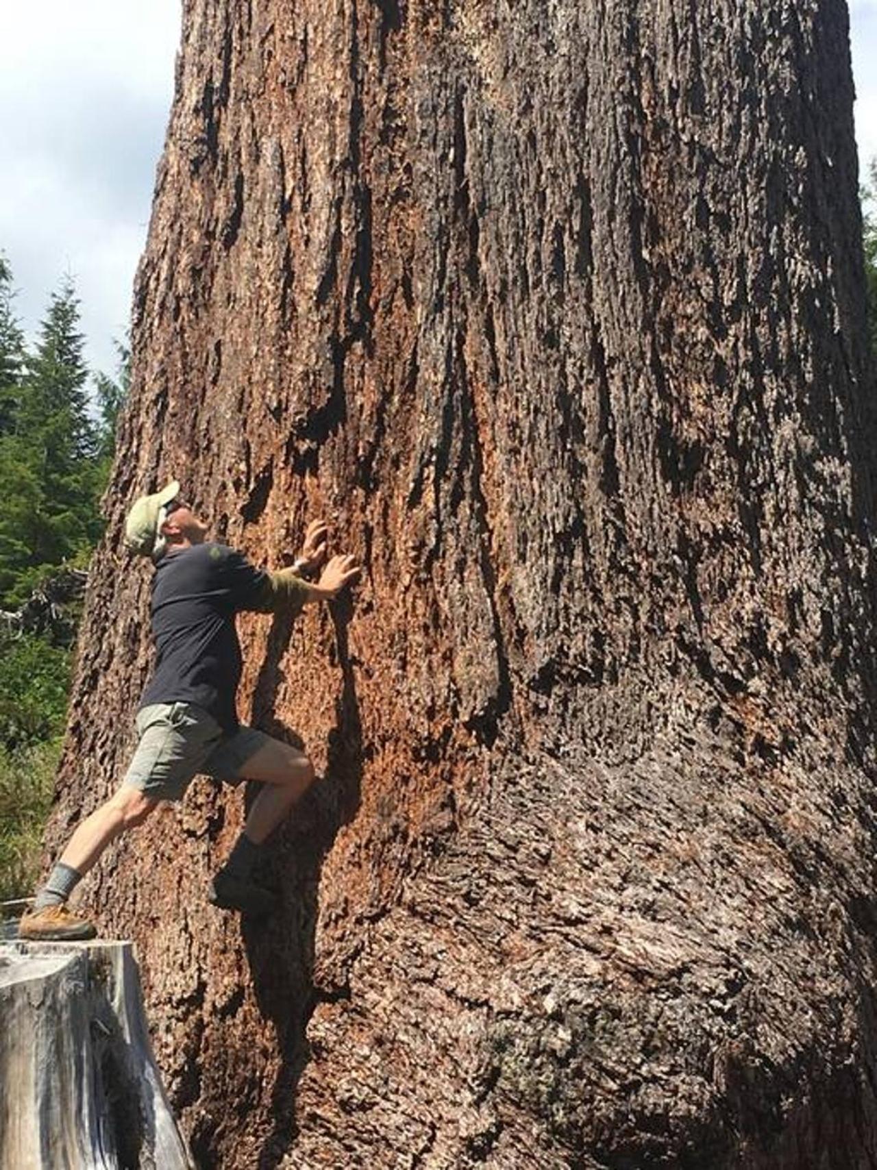 Willa The Great Escape - Port Renfrew Zewnętrze zdjęcie