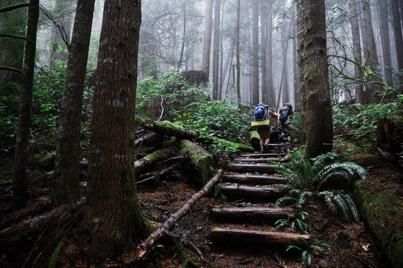 Willa The Great Escape - Port Renfrew Zewnętrze zdjęcie