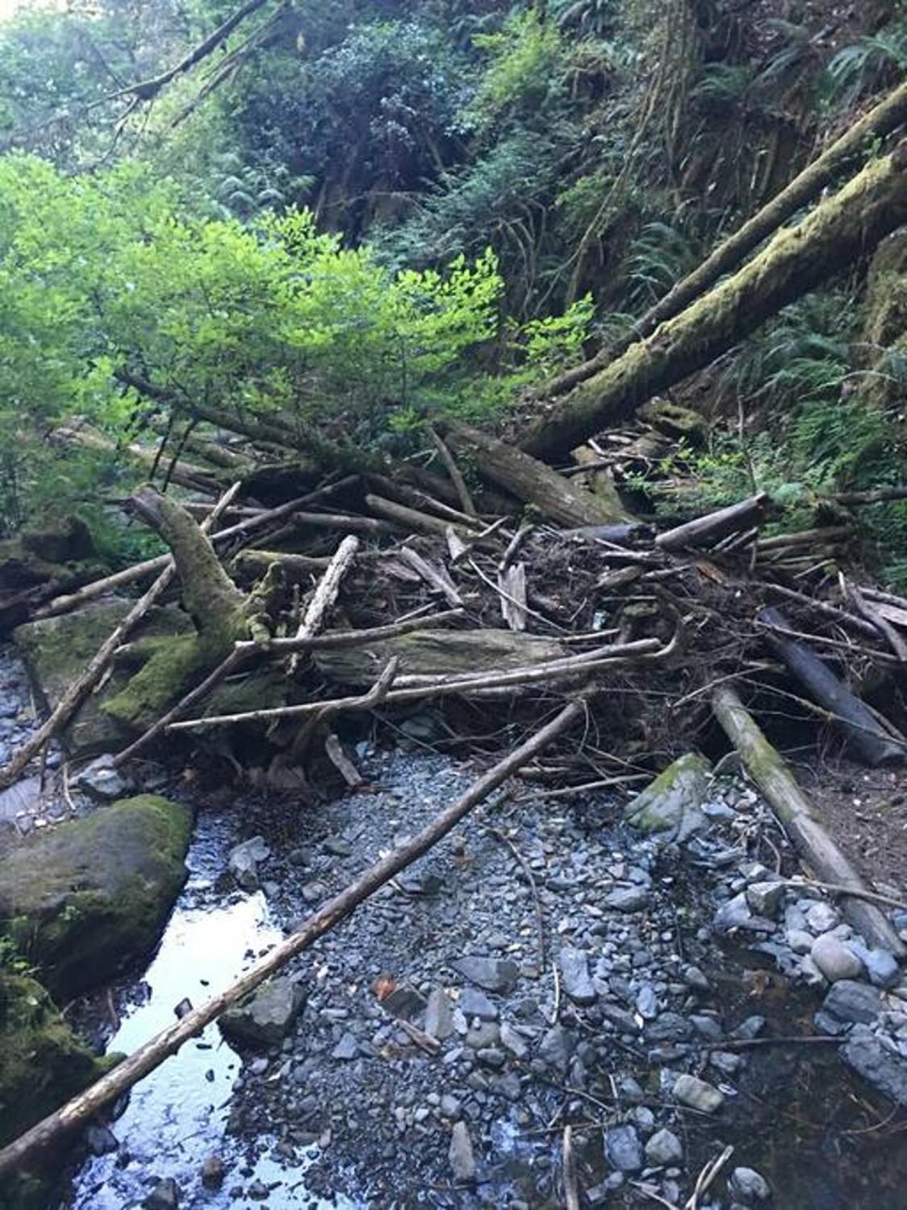Willa The Great Escape - Port Renfrew Zewnętrze zdjęcie